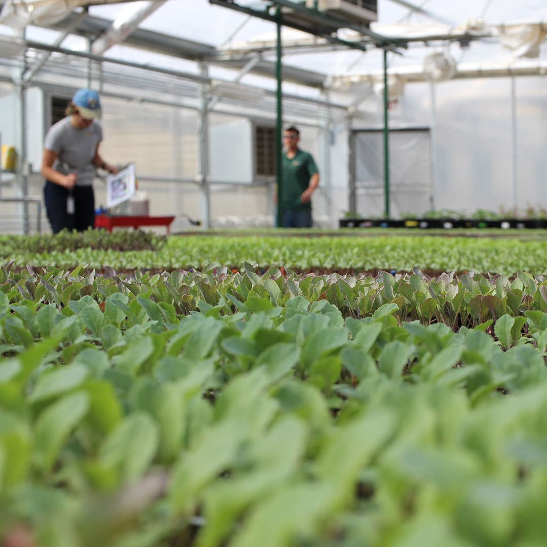 PhycoTerra Assisting Global Agriculture Today