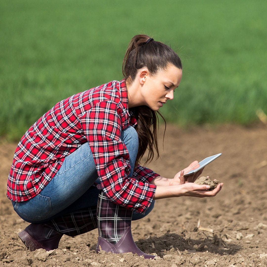 Grower Evaluating Soil Health