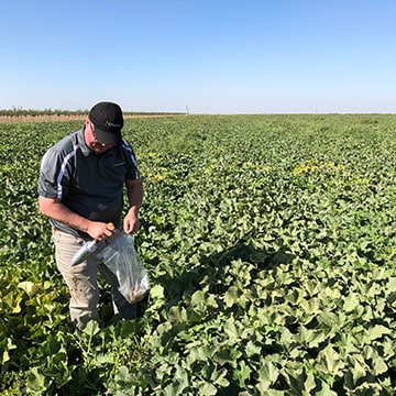 Produce News Growers See Results