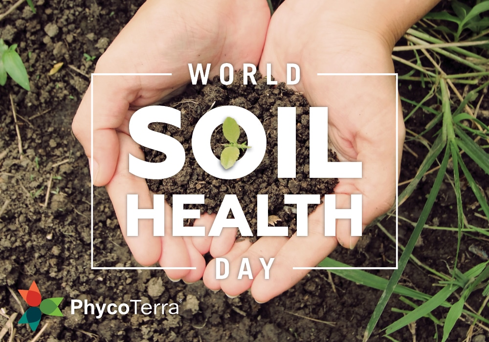 PhycoTerra World Soil Health ay