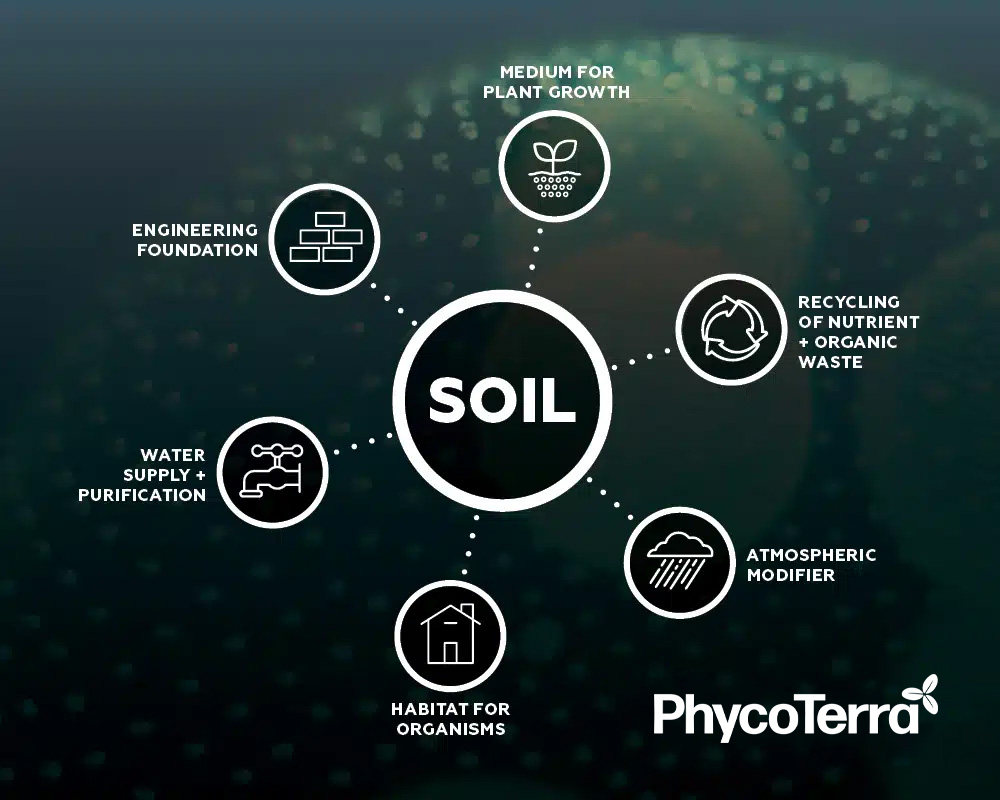 Soil Function and Ecosystem Services, Celebrating World Soil Day stopping soil erosion
