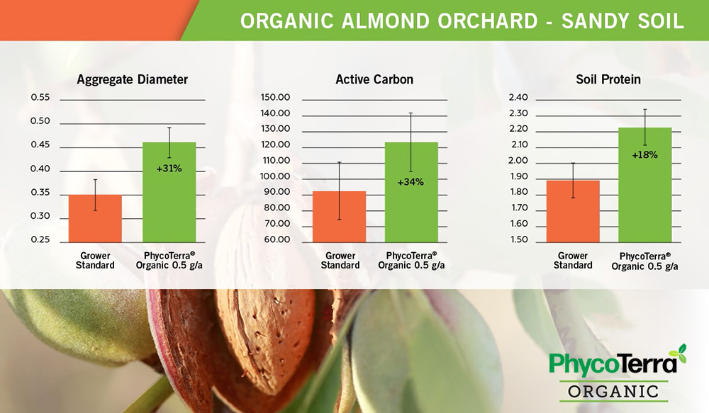 Almond crop trial
