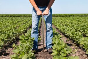Soil Health, Regenerative Agriculture