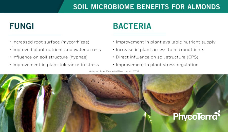 Soil Microbiome benefits