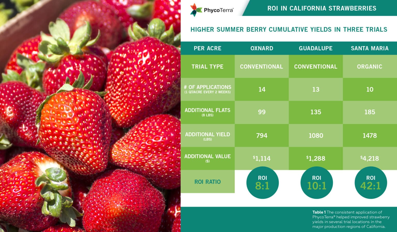PhycoTerra® Can Improve Strawberry Yields PhycoTerra