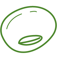 Image for choice number 4