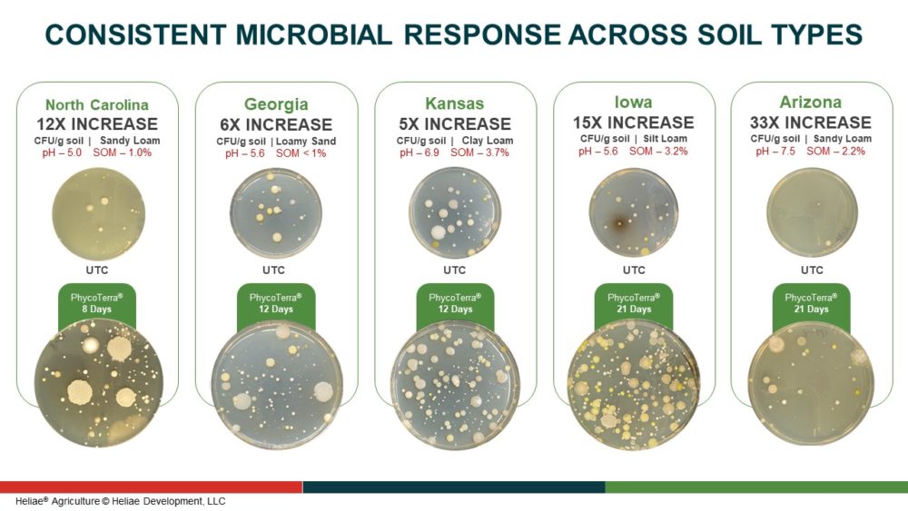 Consistent Microbial Response Across Soil Types