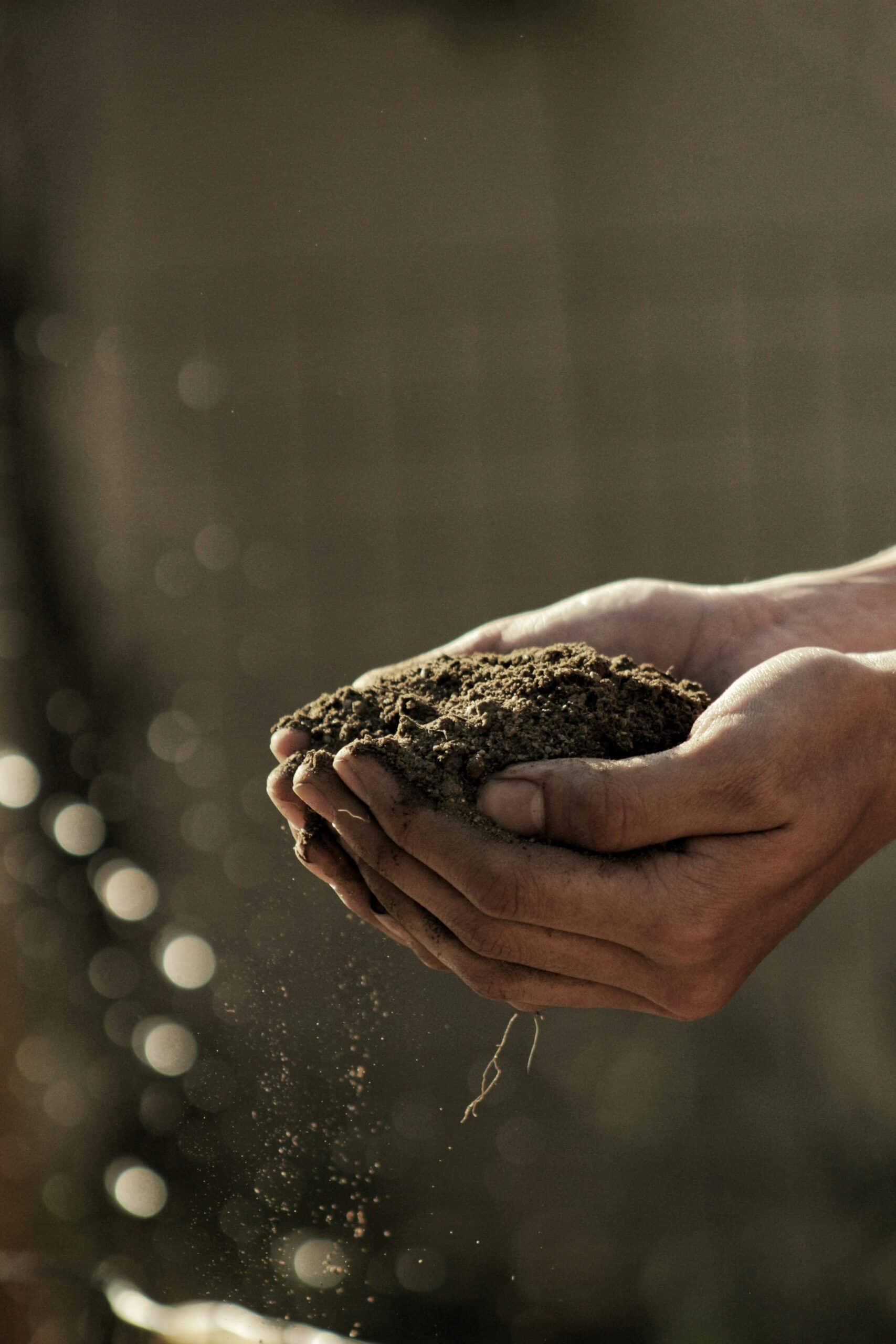 Webinar: Finding the right carbon product for your field
