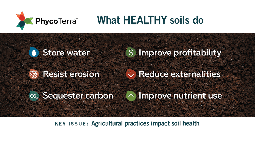 what healthy soils should do - ag practices impact soil health