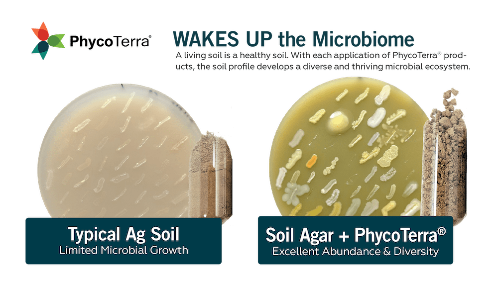 PhycoTerra wakes up the microbiome improving soil health