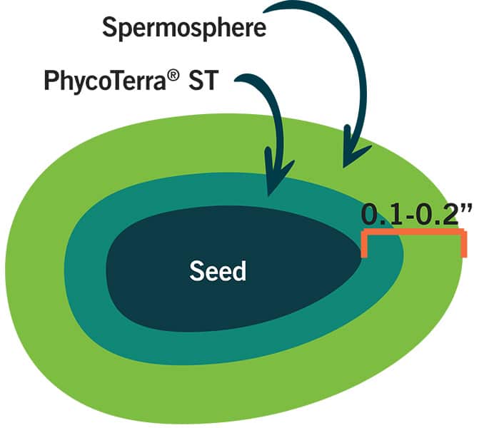 Supercharged Seed
