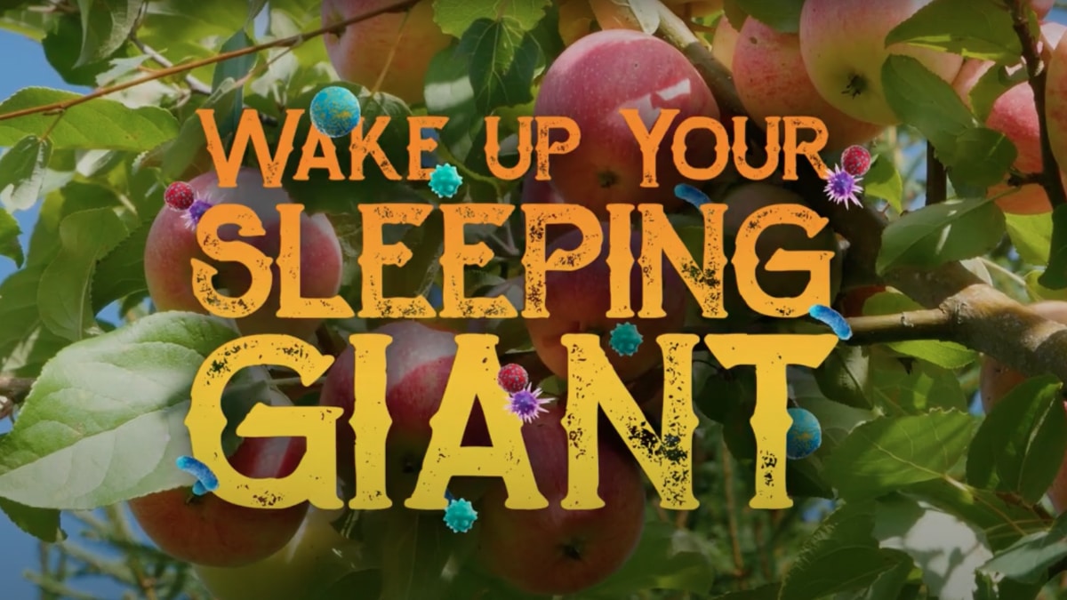 wake up your sleeping giant