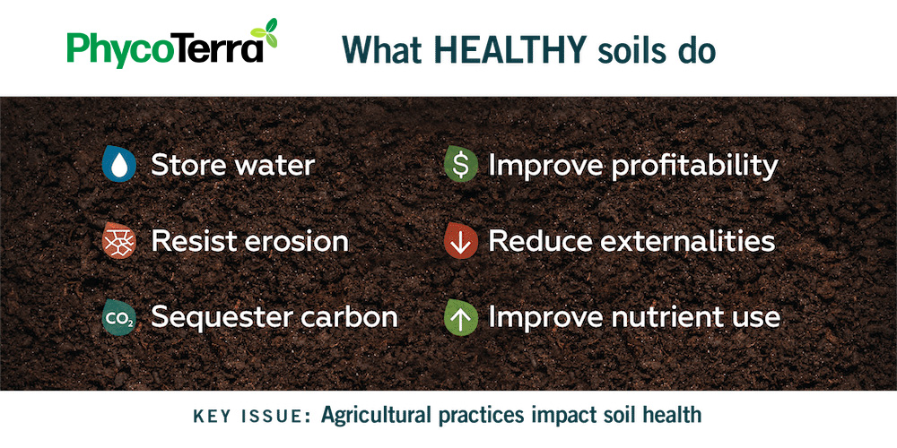 Agricultural practices impact soil health