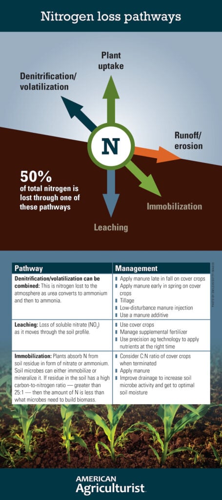 nitrogen loss pathways chart