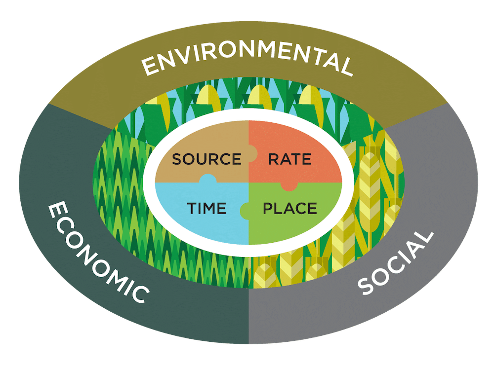 economic social and environmental connection for nutrient efficiency in crops
