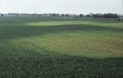 Iowa State field soil moisture