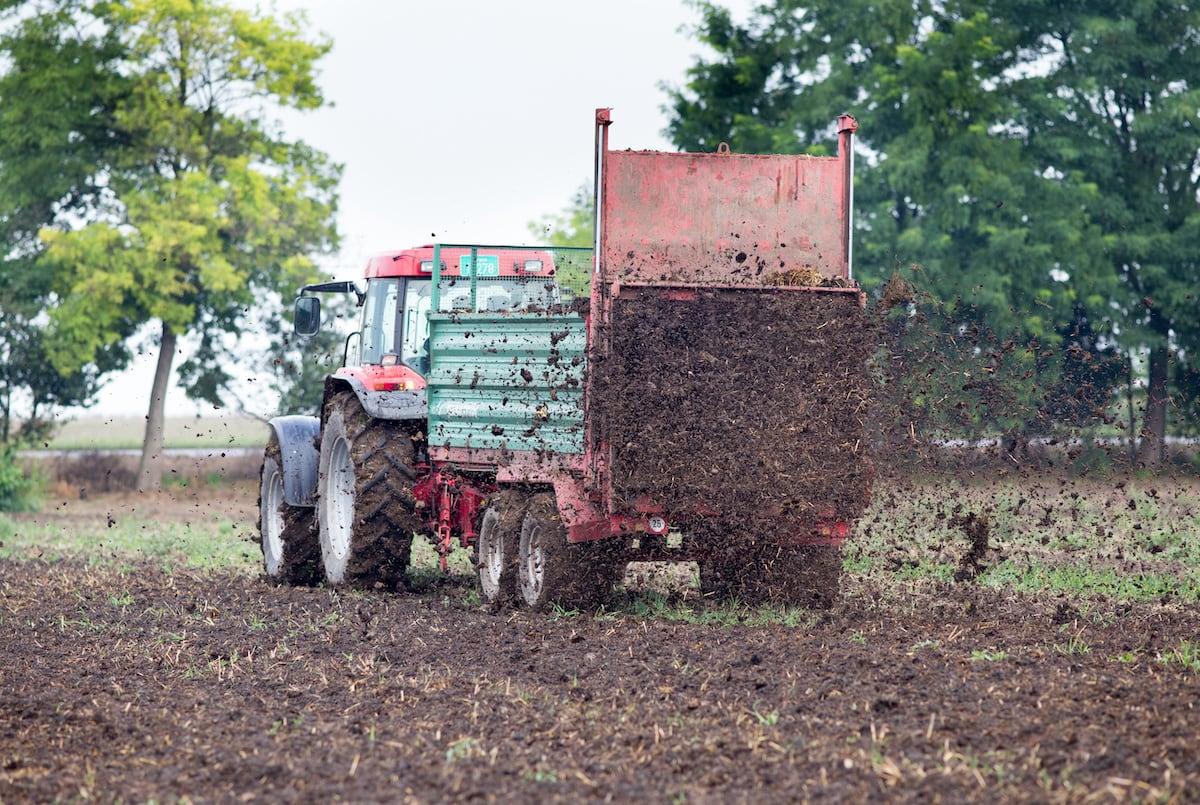 make the most of manure with soil microbial management