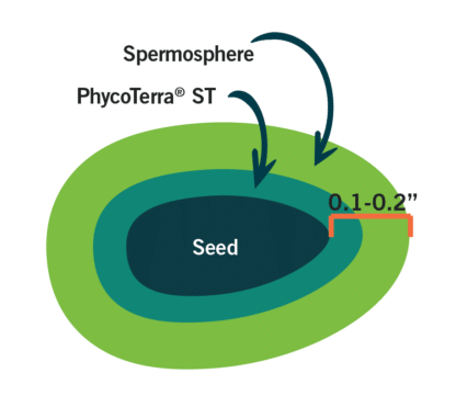 PhycoTerra ST seed treatment spermosphere