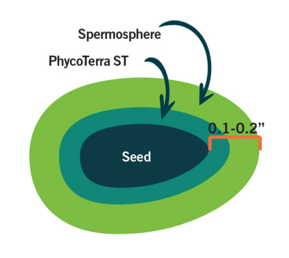 PhycoTerra ST seed treatment spermosphere