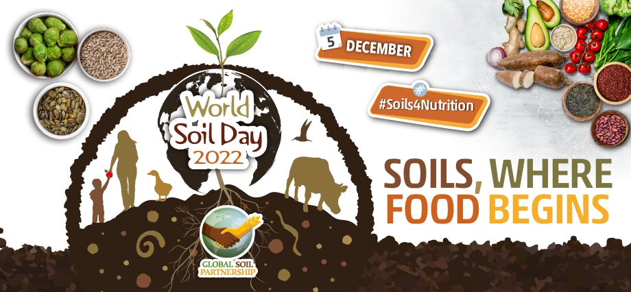soil where food beings