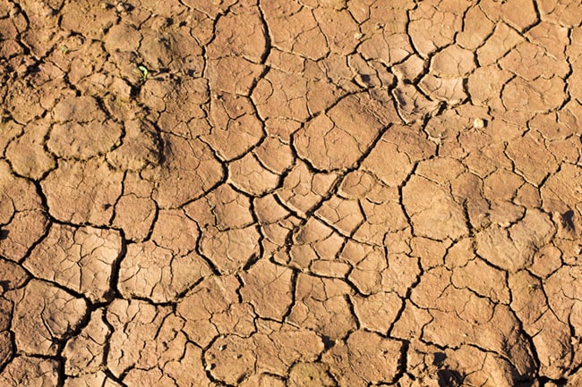 dry drought soil