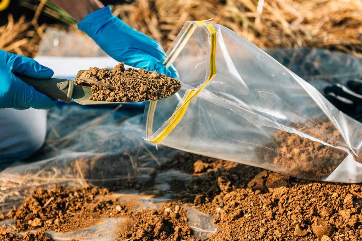 Soil Test. Agronomist putting soil with garden shovel in soil sample bag outdoor. Environmental research