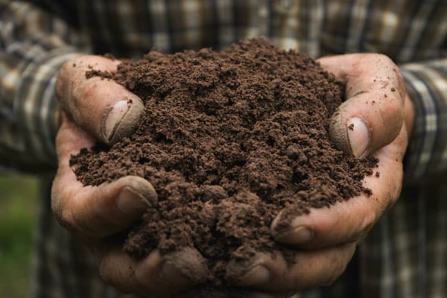 Learn the soil health indicators that could make or break your yields.