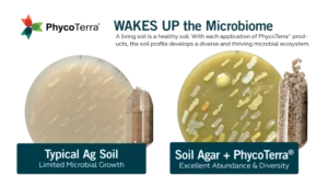 Soil microbes can help improve soil structure