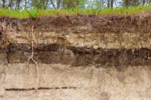 Are you familiar with your soil structure?