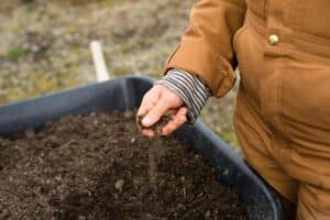 Tips to build soil health