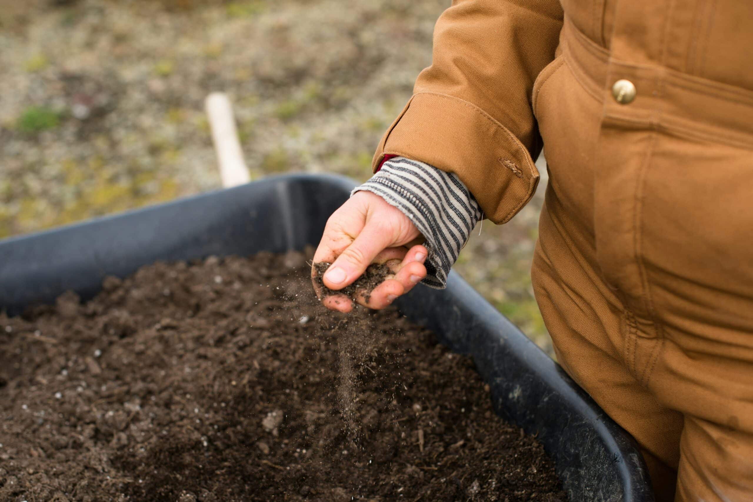 Tips to build soil health