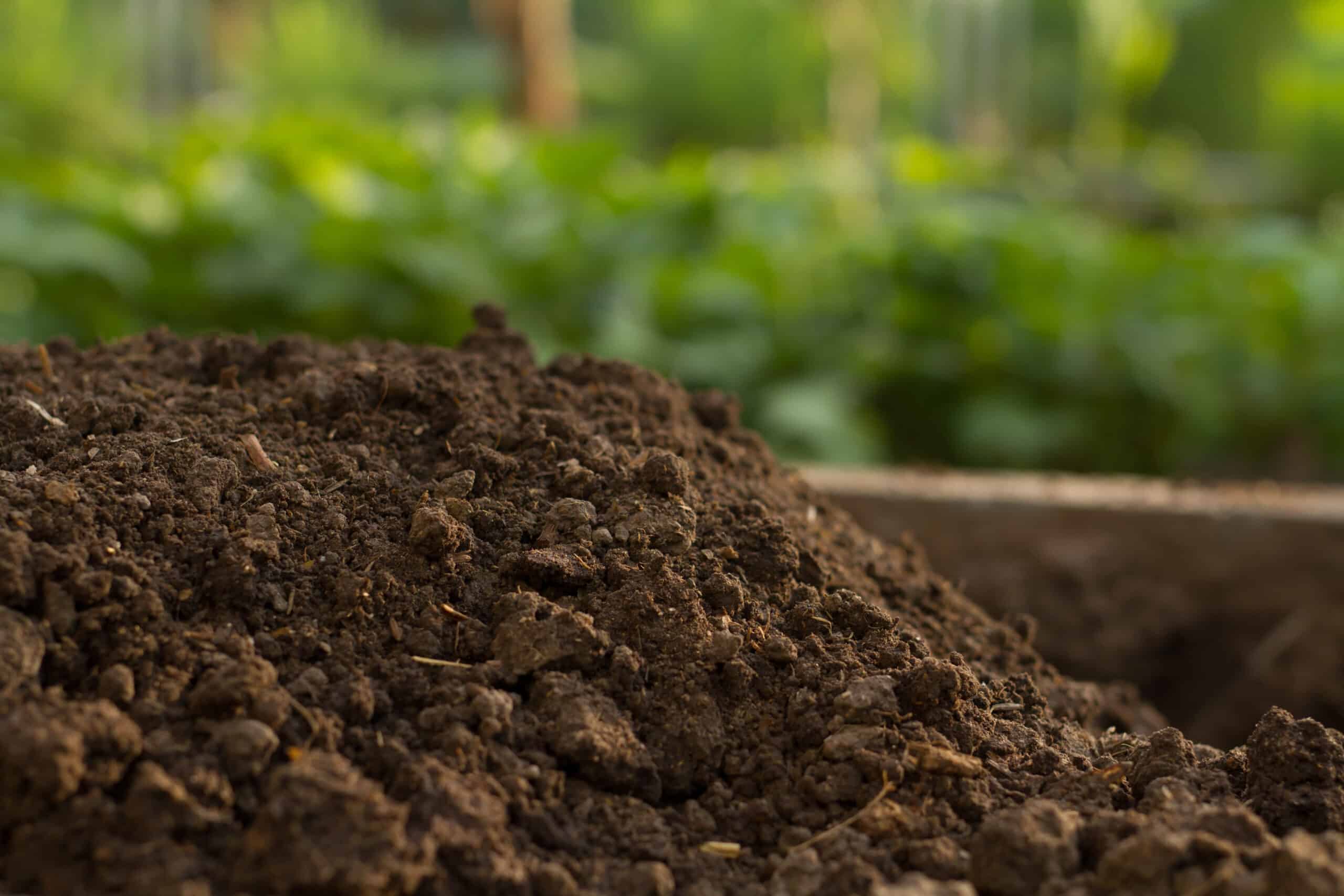 Farming practices that support soil health