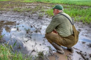 extreme weather and soil health