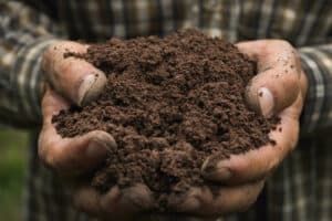 the physical structure of your soil is an indicator of its overall health