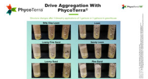 PhycoTerra can improve soil structure by activating microbes