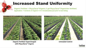 Organic farmers: Support beneficial soil microbes