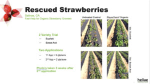 Beneficial microbes on your organic farm need support to support you.
