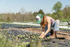 A soil amendment ideal for organic farmers