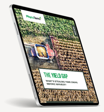 Yield Gap white paper