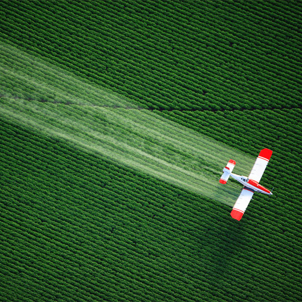 Plane over field