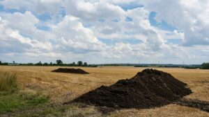 why manure has a bad reputation
