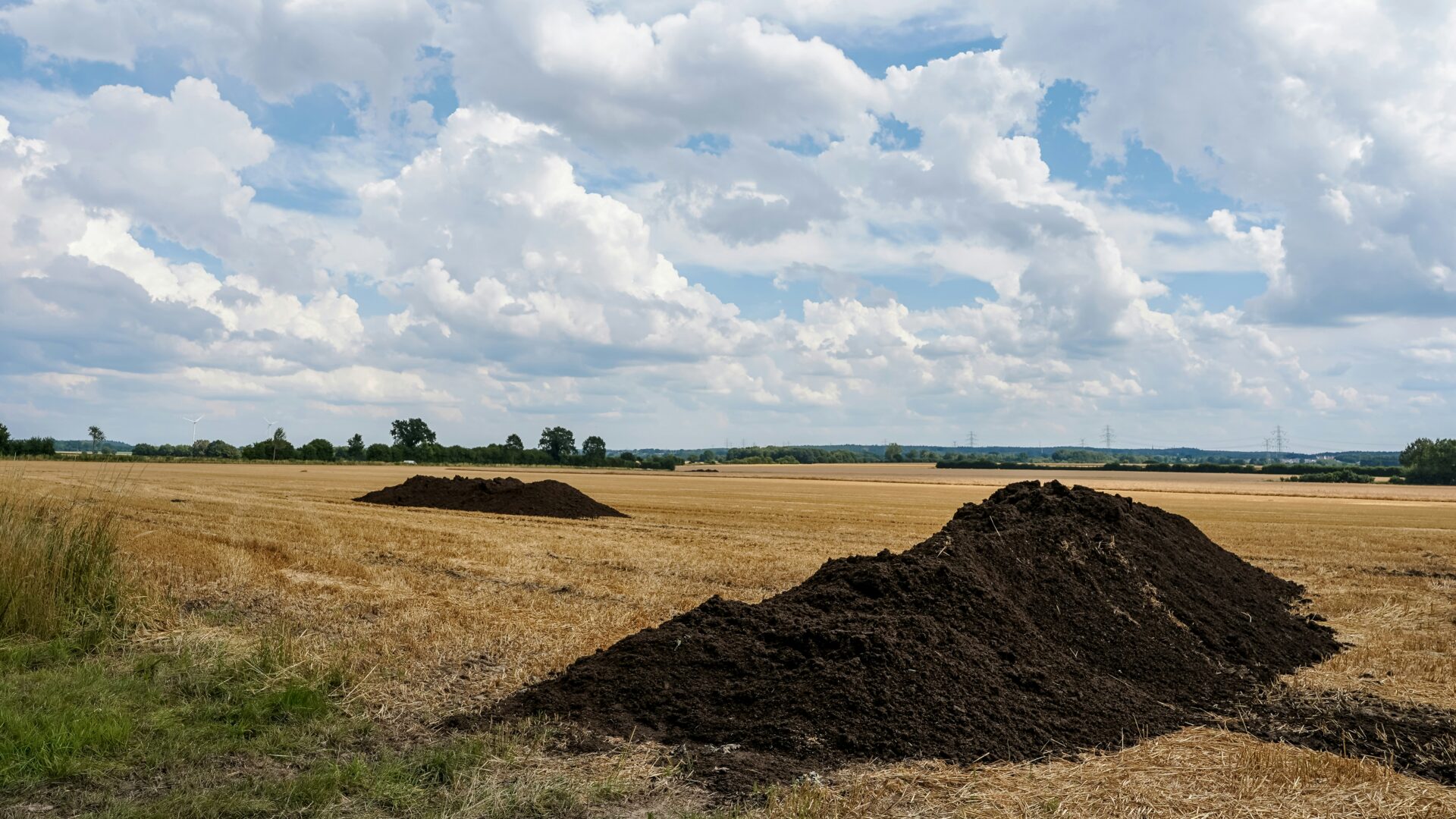 why manure has a bad reputation