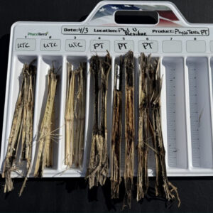 Feeding soil biology: An essential part of any no-till operations spring preperation