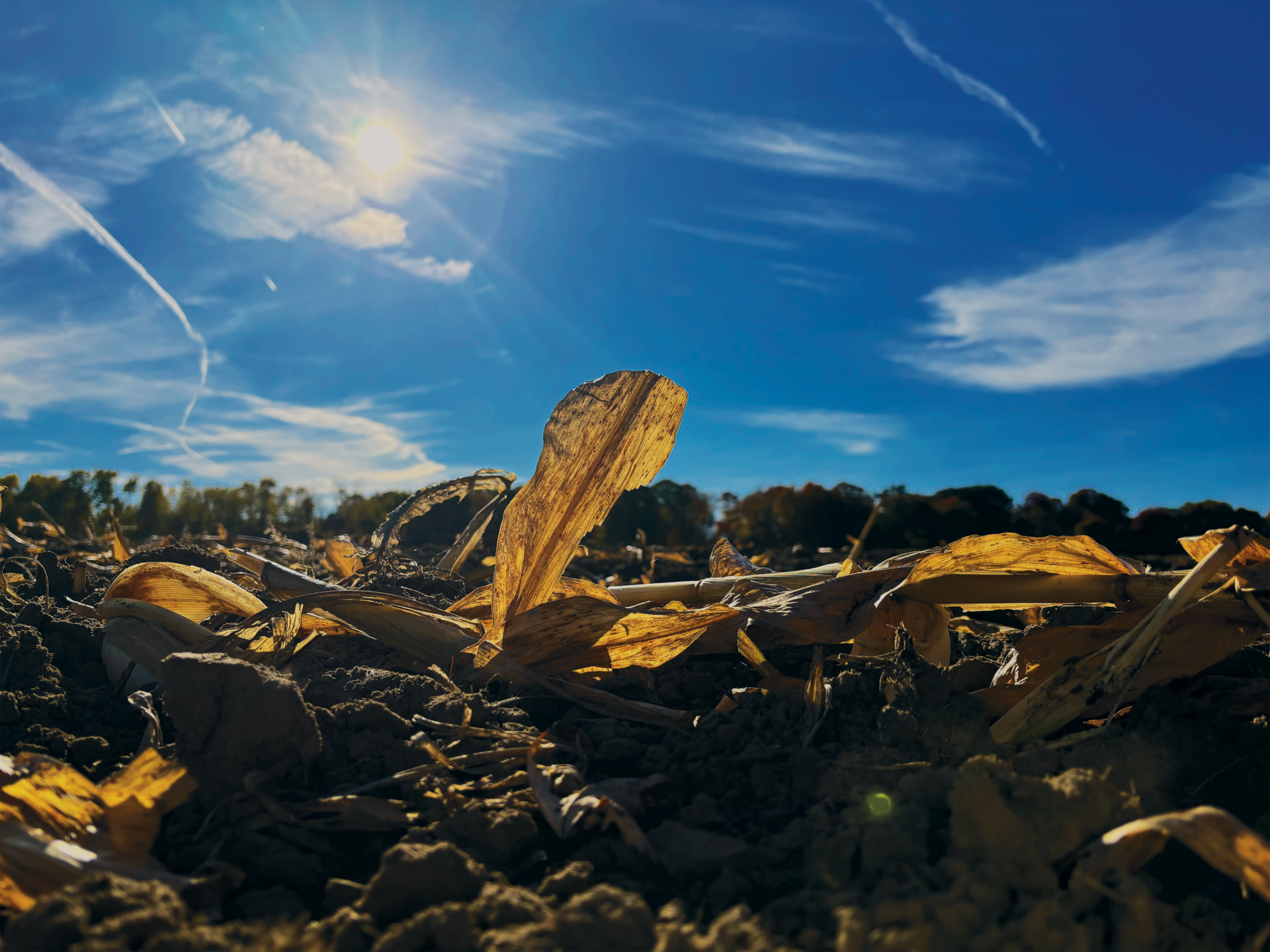 Why there's more residue than ever in our fields -- and what to do about it