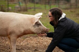 Pig farmers: Here's why it's so hard to put a value on hog manure.