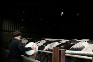 dairy, hog, and poultry farmers have a hard time proving manure's value. Here's why.
