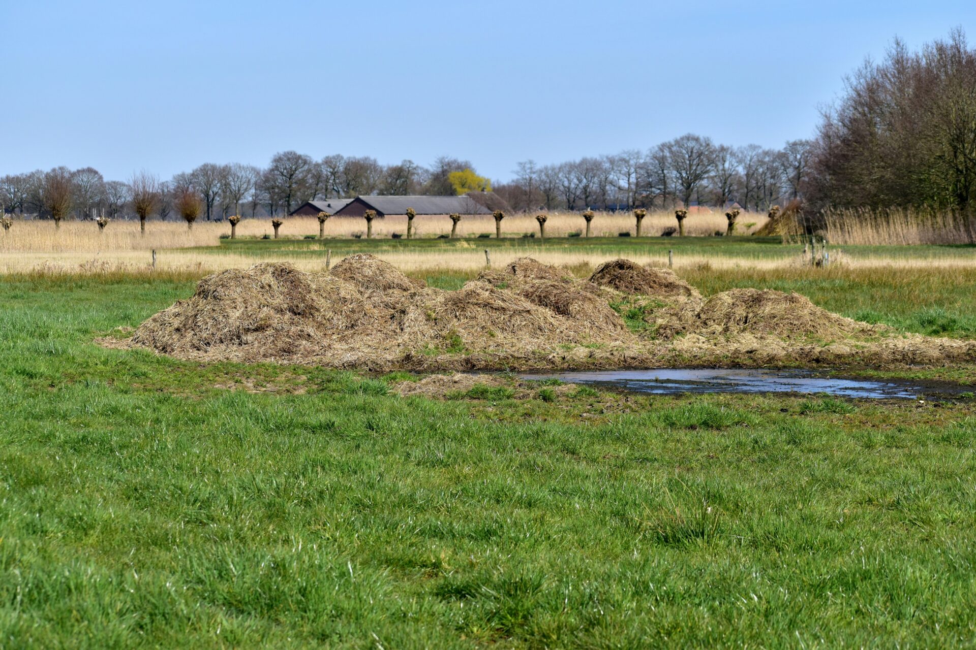 why manure's value is still so hard to prove