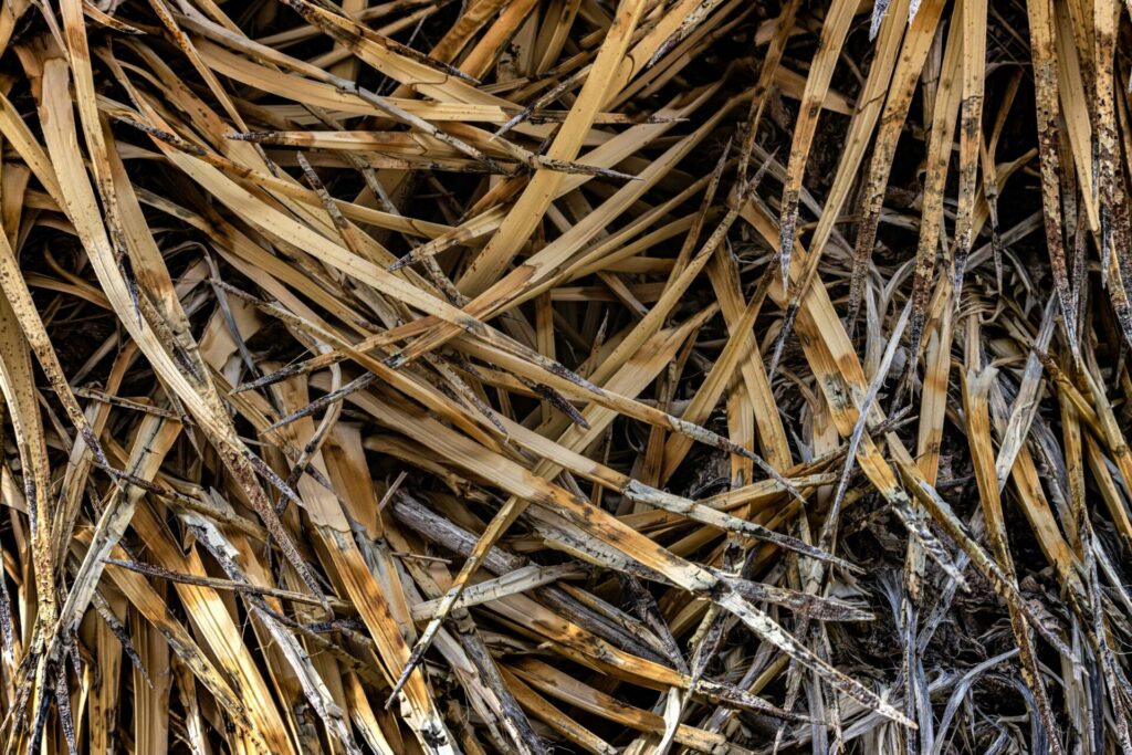 The real cost of residue, and how to make it a return