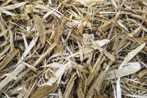 corn residue management